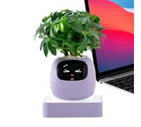 Smart Plant Pot Guidance On Plant Care Multiple Expressions Flowerpot | Carnivorous Plants Pot for Indoor Home Office Living Room Bedroom Balcony Patio Beginners Birthday Valentine's Day Mother's