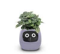 Smart Plant Pot Intelligent Planter with 49 Expressions, 7 Smart Sensors, AI Chips, LCD Display, APP Control, Time, Date, Weather Information