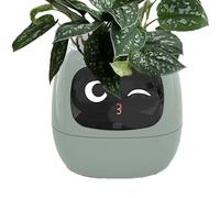 Smart Plant Pot - Smart Pet Planter - Multiple Expressions, Plant Robot for Living Room, Rich Gesture Interaction, Indoor Decoration
