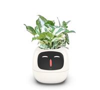 Smart Plant Pot with AI Sensors and Gesture Control - Interactive Expressions for Indoor Decor and Gifting