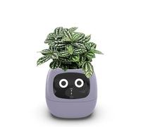 Smart Plant Pot with AI Technology, LCD Display, 49 Expressions, 7 Smart Sensors, APP Control - Intelligent Indoor Planter for Weather and Date Tracking