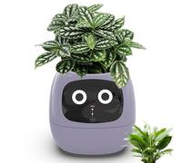 Smart Plant Pot with Date and Time Display, 7 Intelligent Sensors, LCD Display, App Control, USB Rechargeable, Automatic Water Absorbing - Intelligent Garden System