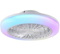 Smart RGB Ceiling Fans with Lights,APP & Remote Control,3 CCT + 7 Colour Modes,6-Speed Quiet Fan with Timer & Memory,Low Profile Dimmable Fan Light Ceiling for Bedroom,Living Room,Kitchen,50cm