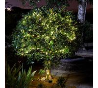 Smart Garden Solar Powered Firefly Wire Lights 200 LEDs - Warm White