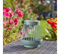 Smart Solar Viva Olive Metal & Plastic Solar-Powered Outdoor Led Small Lantern