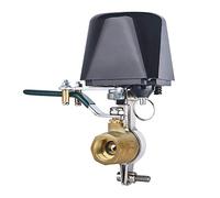 Smart Valve PNI Safe House HS540 for Stopping The Water/Gas Pipeline via The Internet, Compatible with The Tuya Application