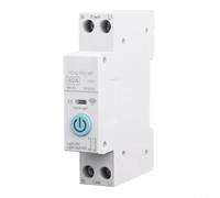 Smart WiFi Circuit Breaker 10-63A DIN Rail Remote Switch for Tuya App Energy Monitor Overvoltage Protection Single Pole(40A)