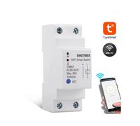 Smart WiFi Timer Mobile Phone APP Home Remote Control Timer Countdown Time Switch Work with Alexa Google Home TM607 80A 85-300V