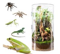 Smartang Front Opening Terrarium Jumping Spider Enclosure,12"*6"*6"Tall Arboreal Tarantula Enclosure Terrarium with Cross Ventilation,Waterproof Acrylic Reptile Enclosure (12 * 6 * 6inch)