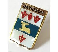 Smartbadge® Davidson Family Clan Name Lapel Pin Badge