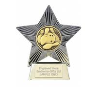 Smartbadge Ten Pin Bowling Star Trophy Award Personalised Engraved Prize