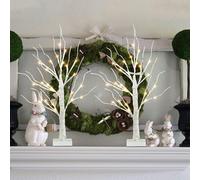 EAMBRITE White Christmas Tree with Lights Mini Birch Twig Tree Ornament with 24 Warm White LEDs Battery Operated Tabletop Decoration for Christmas Home Party Wedding (60cm/2ft)