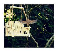 smartbies White Bird Swing Seat Feeder