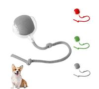 Electric Dog Ball Toy, Interactive Rolling Dog Ball, Interactive Dog Smart Ball Toy, 360° Automatic Self Moving Dog/Cat Toys, Self Rolling Ball Interactive Pet Toy for All Kinds of Surfaces (Grey)