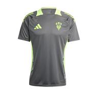 smartketing Adult Player Training T-Shirt 24/25 Men's T-Shirt Grey