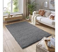 SmartLiving Rugs Living Room 60x110 cm, Dark Grey Area Rugs for Bedroom, Non Slip Carpet Rug, Non Shedding Floor Mat, Modern Super Soft Carpets Fluffy Shaggy Rug for Lounge, Dining Room, Bedroom