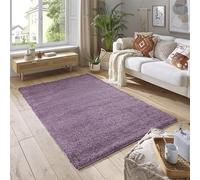 SmartLiving Rugs Living Room 60x110 cm, Mauve Area Rugs for Bedroom, Non Slip Carpet Rug, Non Shedding Floor Mat, Modern Super Soft Carpets Fluffy Shaggy Rug for Lounge, Dining Room, Bedroom