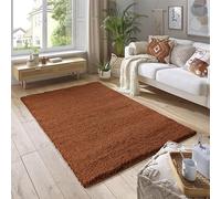 SmartLiving Rugs Living Room 60x110 cm, Terracotta Area Rugs for Bedroom, Non Slip Carpet Rug, Non Shedding Floor Mat, Modern Super Soft Carpets Fluffy Shaggy Rug for Lounge, Dining Room, Bedroom