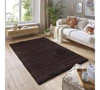 SmartLiving Rugs Living Room 80x150 cm, Brown Area Rugs for Bedroom, Non Slip Carpet Rug, Non Shedding Floor Mat, Modern Super Soft Carpets Fluffy Shaggy Rug for Lounge, Dining Room, Bedroom