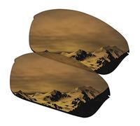 SmartVLT Men's Replacement Lenses for Oakley Half Wire 2.0 Sunglass - More Options Size: One size