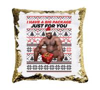 SMARTYPANTS Barry Wood Big Package Square Sequin Cushion - Novelty Rude Crude Explicit Fun Merry Xmas Eve Festive Jolly Santa Festive Gold Holiday Home Decor Gift Present (Cover+Filling)