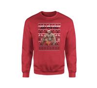 SmartyPants Big Package Barry Wood Christmas Jumper Sweatshirt - Novelty Funny Rude Crude Explicit Fun Joke Merry Xmas Eve Festive Jolly Work Party Gift Present