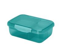 Smash 1.6L Bento Lunch Box with Tray & Leakproof Snack Pot | 3 Compartment Food Storage Container | School, Work & Travel