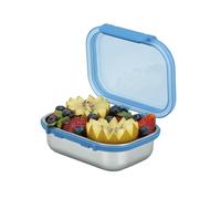 Smash 19 oz / 550ml Microwave Safe Stainless Steel Snack Box with Blue Hinged Lid - Leak-Proof Clip Closure, Silicone Seal, BPA Free