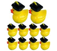 SMASOLO 10pcs Graduation Cap Duck Figurines Resin Mini Animals with Moss Micro Landscape Creative Ornaments for Office Study Room Living Room Decoration