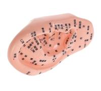 SMASOLO Accurate Ear Reflexology Model for Tcm Education Human Ear Acupuncture Display for Professional Massage Training for Meridian System Understanding
