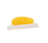 SMASOLO Anatomical Human Body Fat Model for Fitness Demonstration Realistic Yellow Adipose Tissue Educational Tool for Nutritionists and Weight Loss Motivation
