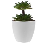SMASOLO Artificial Succulent Plant Ornament Faux Succulent in Pot Realistic Decorative Greenery for Bedroom Office Living Low Maintenance Fake Plant for Aesthetic Home Decor