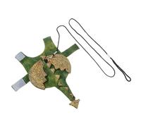 SMASOLO Bearded Dragon Lizard Outfit with Harness and Leash, Reptile Pet Costume Dinosaur Body Suit with Safety Gear, Suitable for Outdoor Walking and Halloween Dress-up