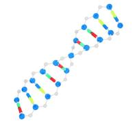 SMASOLO Dna Molecule Kit with Detailed Double Helix Structure Interactive Educational Model for Biology Class Genetics and Biochemistry Stem Tool School Science Fair Project Aid