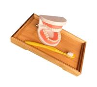 SMASOLO Educational Teeth Brushing with Standard Model and Bamboo Tray for Boys Early Learning and Dentist Communication