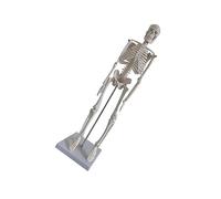 SMASOLO Human Skeleton Model Display Model Movable Arms and Legs for Medical Study Yoga and Art Applications Realistic Movement for Interactive Learning