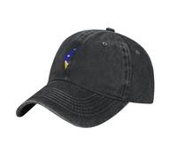 SMAZDFXX Flag Map of Chilean Antarctic Territory, Magallanes Y Antártica Chilena Region Baseball Cap WomenHat Golf Caps Black