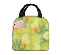 SMAZDFXX Reusable Lunch Bag Women Insulated Lunch Box for Men Adult Colorful Rolling Hills Landscape Portable for Office Travel Work Picnic Camping Leakproof Cooler Bag Home