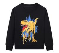 Smazero Boy's Dinosaur Sweatshirts Cotton Long Sleeve Christmas Jumper Crew-Neck Pullover Sweat shirt Tops for Kids 6-7 Years