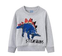 Smazero Boy's Dinosaur Sweatshirts Cotton Long Sleeve Christmas Jumper Crew-Neck Pullover Sweat shirt Tops for Kids 6-7 Years