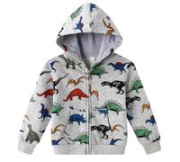 Smazero Little Boy's Hoodie Cotton Dinosaur Jumper Kids Zipper Hooded Children Long Sleeve Sweatshirt Tops for Boys 2-7 Years Grey