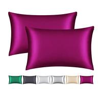 Smbeope 100% Mulberry Silk Pillowcase 2 Pack for Hair and Skin,with Hidden Zipper,Both Sides 22 Momme Natural Silk Pillow Cover,Soft Breathable & Smooth (Wine Red, Queen)