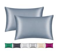 Smbeope 100% Mulberry Silk Pillowcase 2 Pack for Hair and Skin,with Hidden Zipper,Both Sides 22 Momme Natural Silk Pillow Cover,Soft Breathable & Smooth (Air Blue, Queen)