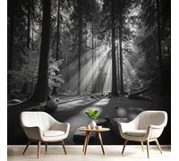SMBHIAON 3D Natural Scenery Panoramic Wallpaper Mural,Forest Sunlight Shadows 3D Wall Sticker Poster Decoration,350×256 cm,Black White