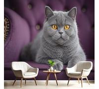 SMBHIAON 3D Panoramic Wallpaper Mural, 350 × 256 Cm Wall Poster Realistic Pets Art Print Design Photo Effect,British Shorthair Blue Cat Purple Sofa Decoration for Bedroom Living Room Corridor