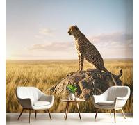 SMBHIAON Cheetah On The Grassland Dusk Photo Wallpaper, Luxury Silk Wall Mural Decor Realistic Animals Wall Sticker for Bedroom, Living Room, Sofa Backdrop Decor 300 × 210 Cm, Golden Yellow