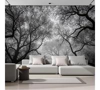 SMBHIAON Mysterious Forest Landscape Murals, Misty Tree Branches Wall Mural Wallpaper, Black and White Wallpaper for Bedroom Living Room Decor 400 × 280 Cm (Not Self-Adhesive)