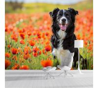 SMBHIAON Red Poppy Fields Wall Mural 3D Black Border Collie Wallpaper Large Light Red Wall Wallpaper for Living Room Bedroom 200 × 140 Cm
