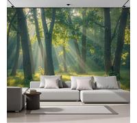 SMBHIAON Sunlight Filters Through Dappled Shadows of The Leaves Wall Mural - Natural Forest Scenery,450 × 315 Cm Wallpaper Poster for Bedroom, Living Room & Home Decoration,Light Green