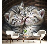 SMBHIAON Wall Mural Cute Tabby Kitten Photo Wallpaper, Luxury Silk Wall Mural Decoration Healing Realistic Animals Poster Picture Design for Living Room Kids Bedroom 400 × 280 Cm